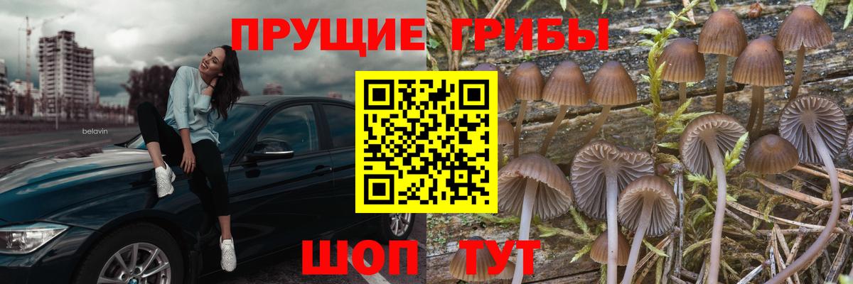 Урус-Мартан  Псилоцибиновые грибы ЛСД  Галлюциногенные грибы Psilocybine cubensis  Вход с VPN 
